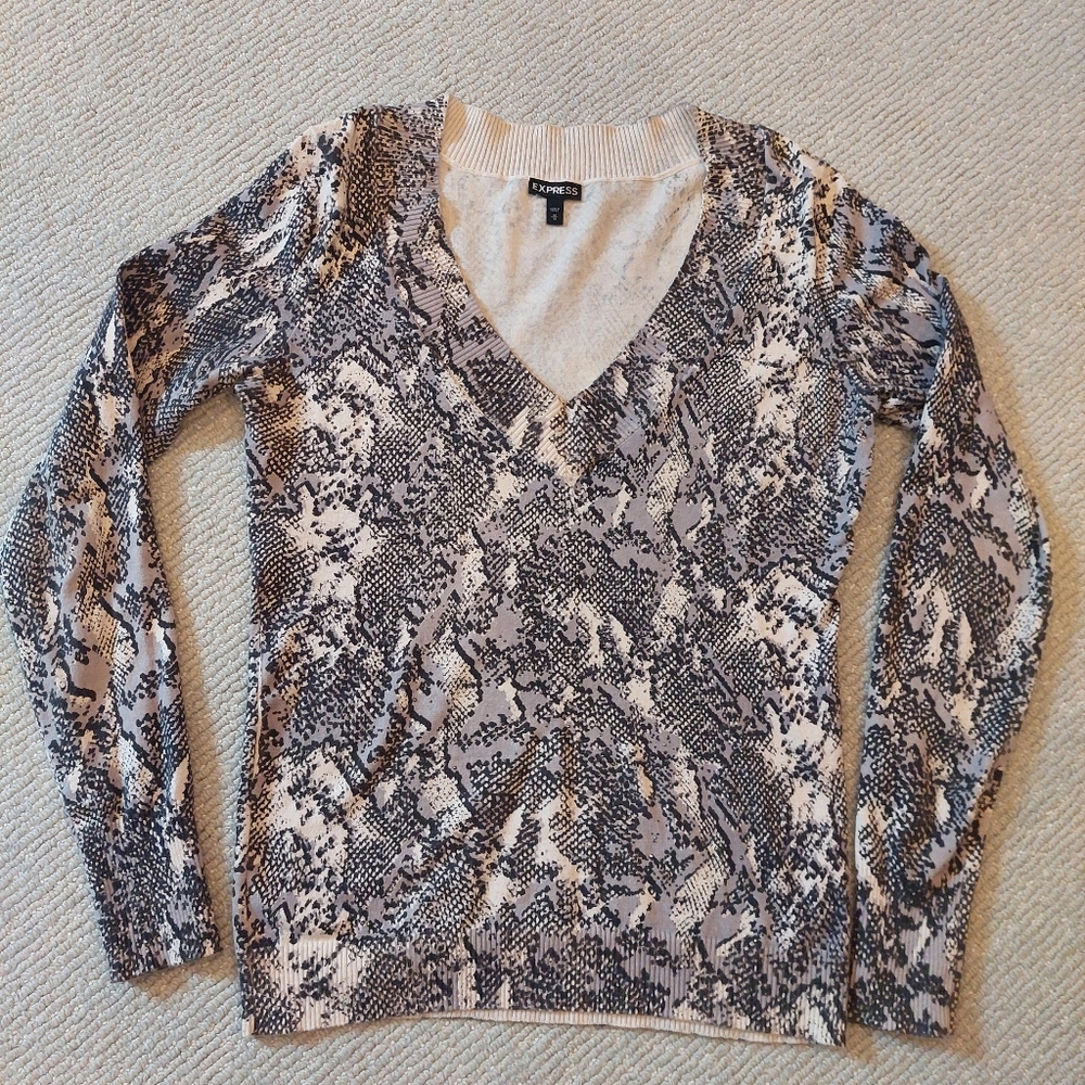 Express Sparkly Sweater